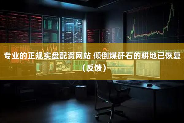 专业的正规实盘配资网站 倾倒煤矸石的耕地已恢复（反馈）