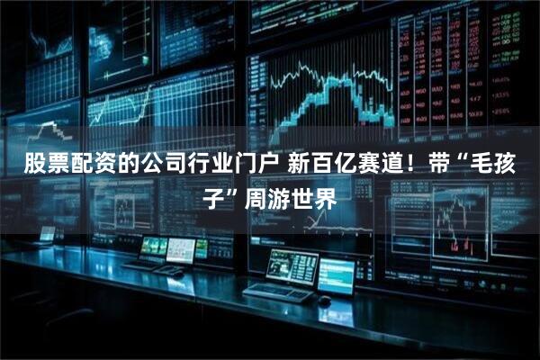 股票配资的公司行业门户 新百亿赛道！带“毛孩子”周游世界